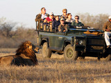 Savanna Lodge Game Drive