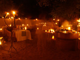 Tree Camp Boma