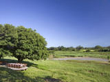 Exeter River Lodge Dining on Deck in the Shade of an Ebony Tree