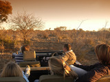 Game Drive 