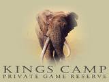 Kings Camp Private Game Reserve